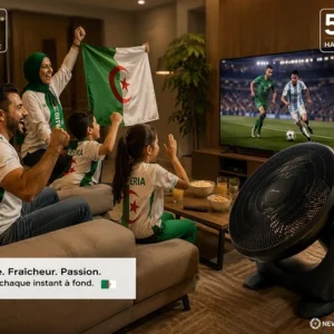 Ventilateur Noire Schallenge